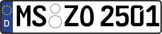 MS-ZO2501