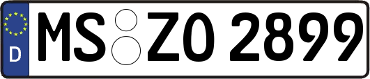 MS-ZO2899