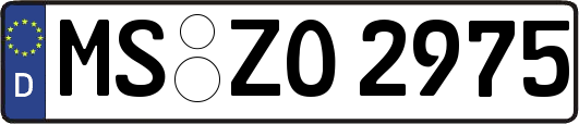 MS-ZO2975