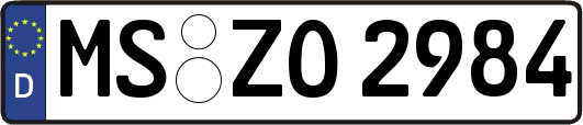 MS-ZO2984