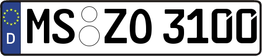 MS-ZO3100