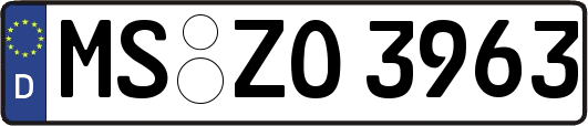 MS-ZO3963