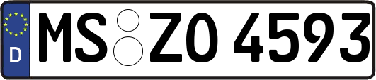 MS-ZO4593