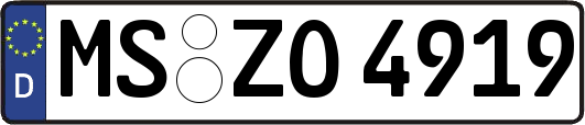 MS-ZO4919