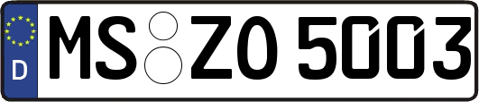 MS-ZO5003