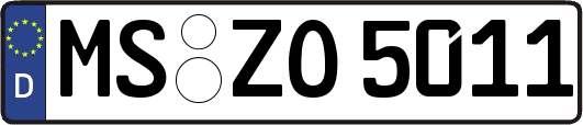 MS-ZO5011