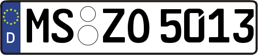 MS-ZO5013