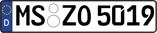 MS-ZO5019