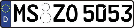 MS-ZO5053