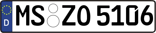 MS-ZO5106