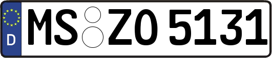 MS-ZO5131