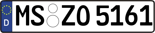 MS-ZO5161
