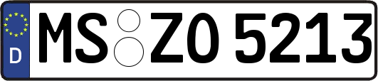 MS-ZO5213