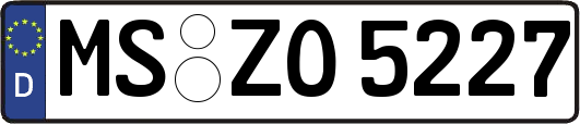 MS-ZO5227