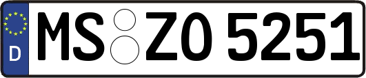 MS-ZO5251