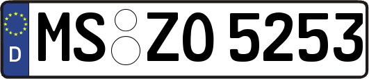 MS-ZO5253