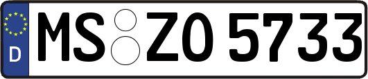 MS-ZO5733