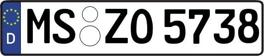 MS-ZO5738