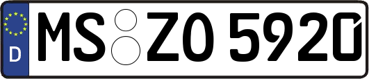 MS-ZO5920