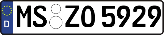 MS-ZO5929