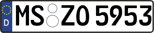 MS-ZO5953