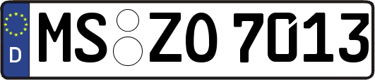 MS-ZO7013
