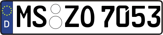 MS-ZO7053