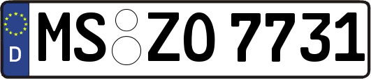 MS-ZO7731