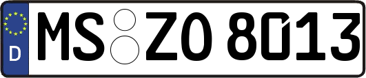 MS-ZO8013