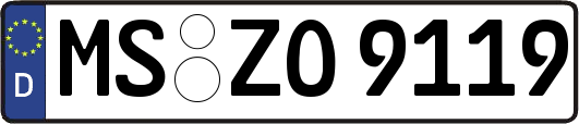 MS-ZO9119