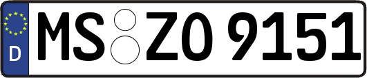 MS-ZO9151