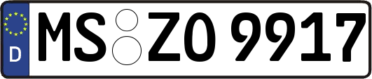 MS-ZO9917