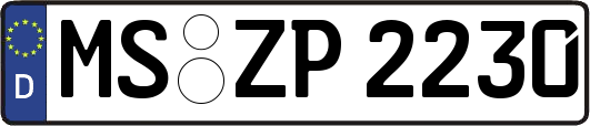 MS-ZP2230