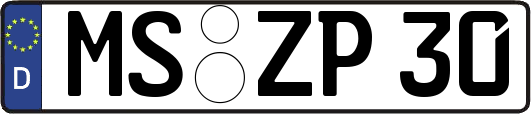 MS-ZP30