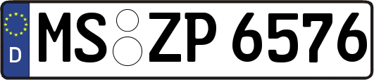 MS-ZP6576
