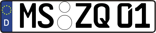 MS-ZQ01