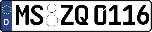 MS-ZQ0116
