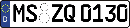 MS-ZQ0130