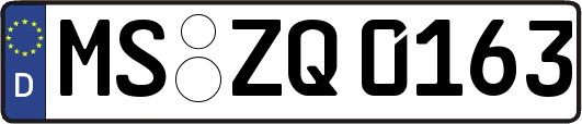 MS-ZQ0163