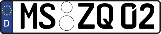 MS-ZQ02