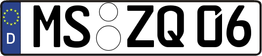 MS-ZQ06