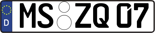 MS-ZQ07