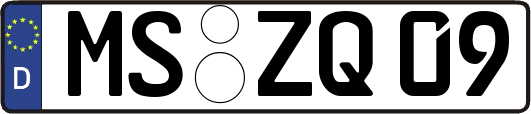 MS-ZQ09
