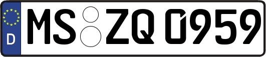 MS-ZQ0959
