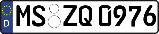 MS-ZQ0976