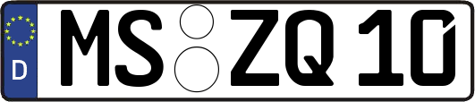 MS-ZQ10