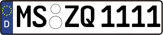 MS-ZQ1111