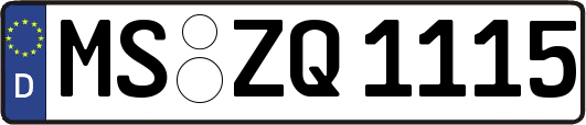 MS-ZQ1115