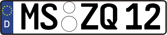 MS-ZQ12