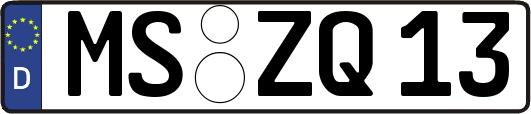 MS-ZQ13